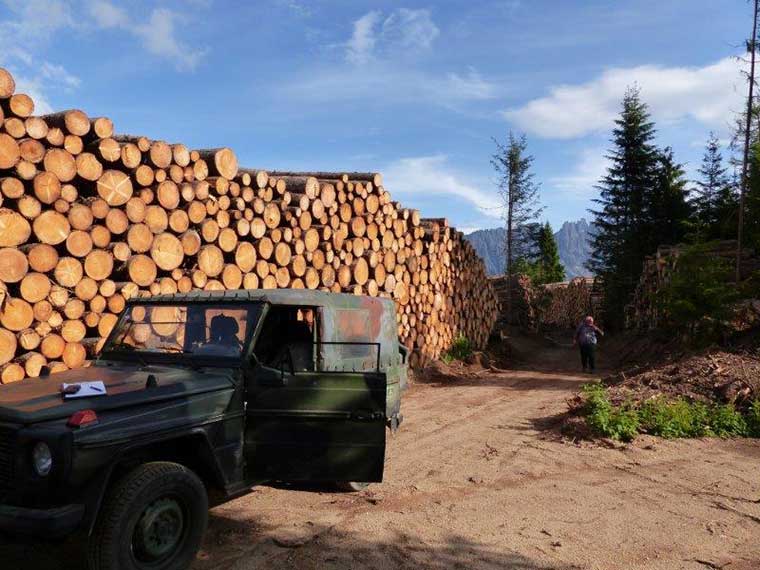 Holzhandel, Angebot des Forstunternehmens U & R Fink in Oberstaufen im Allgäu